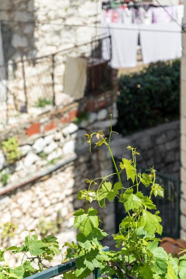 Luxury Apartment Silvana With Beautiful Garden สปลิท ภายนอก รูปภาพ